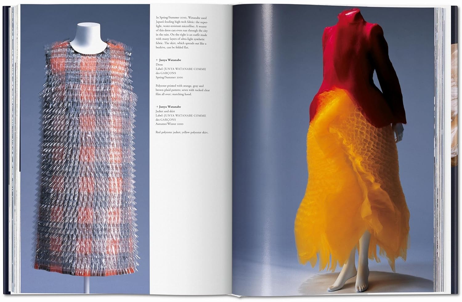 Fashion History from the 18th to the 20th Century - Image 7