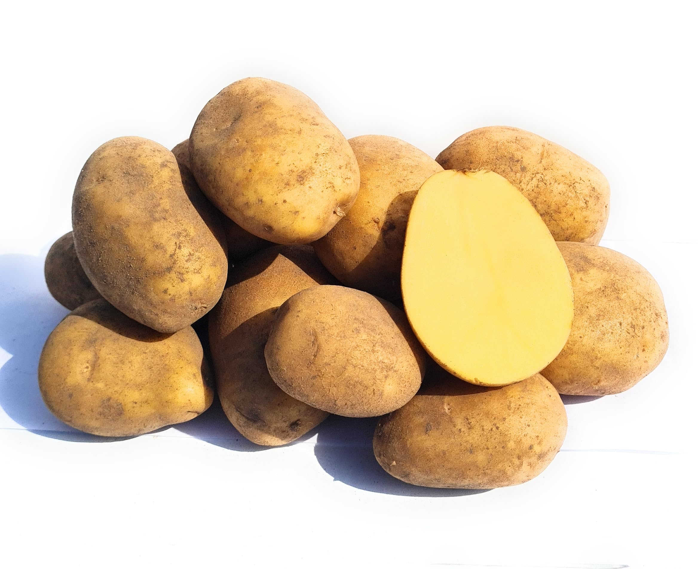 Belana Kartoffeln, festkochend, aus Ernte 2025, von Kehrbachs Hof aus Norddeutschland (10 Kg)