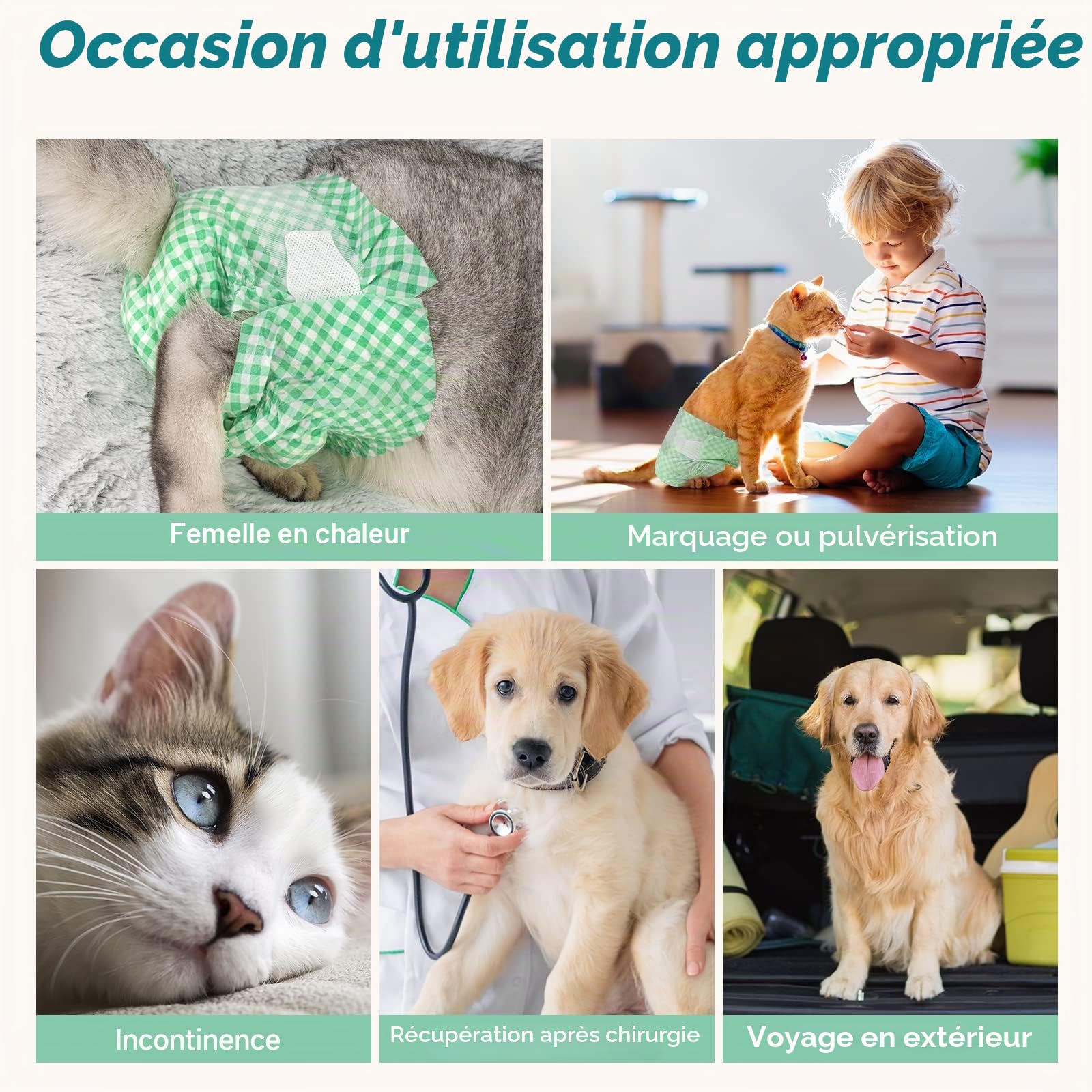 MICOOYO Couche Chien Femelle, Couch Chat Super Absorbantes pour Petits Chats et Chiennes, Pantalons Jetables pour Chiennes en Chaleur (XS,Vert)