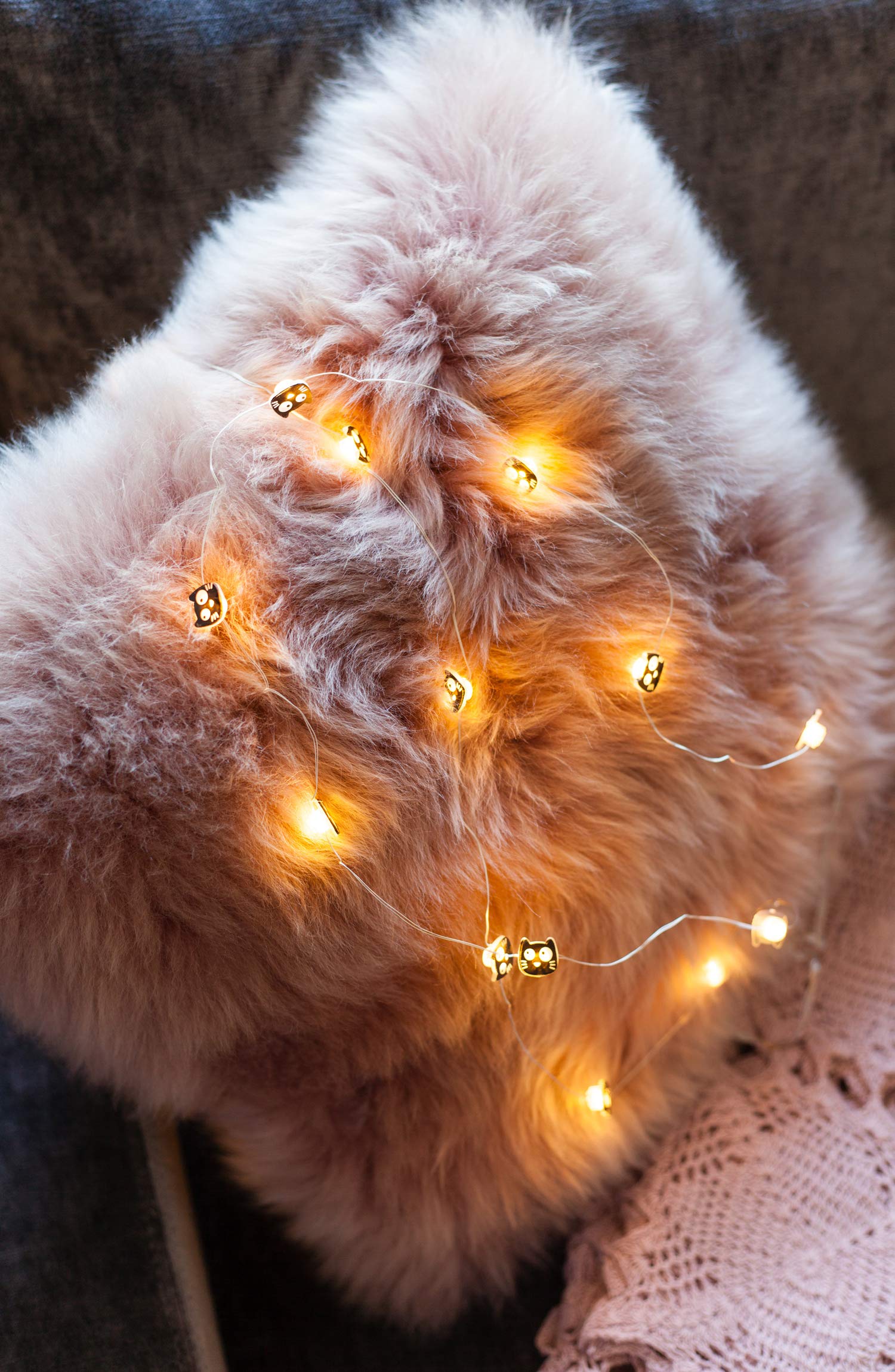 moses Ed, the Cat mini łańcuch świetlny | 2,20 m łańcuch świetlny LED w kształcie kota | 20 diod LED do użytku wewnątrz