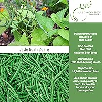 Vista 2 de Semillas de frijol de jade para plantar, más de 50 semillas de reliquia por paquete, semillas de jardín de Isla (semillas de jardín de Isla)