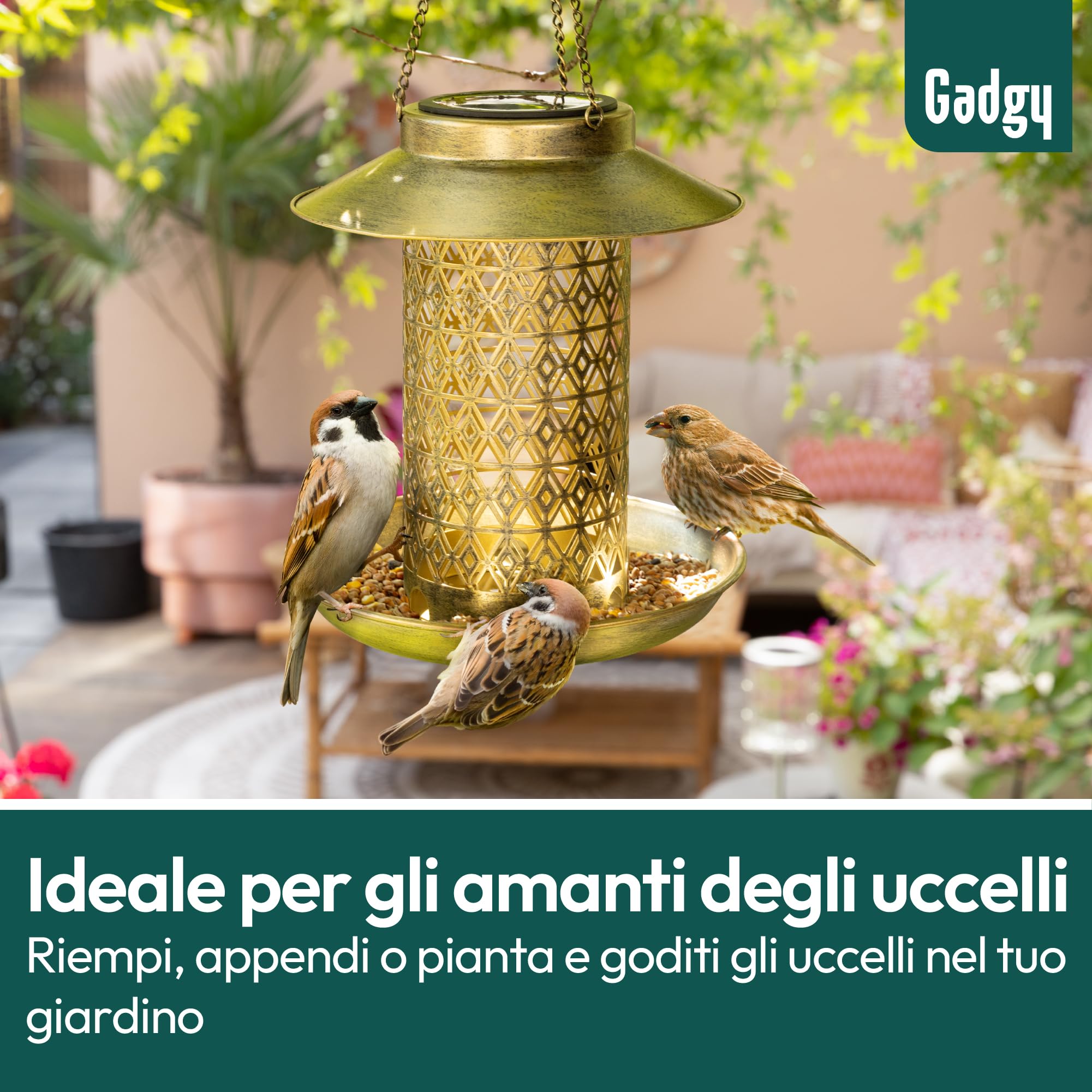 Gadgy Mangiatoia per Uccelli con Luce Solare – Casetta per Uccelli da Esterno 2-in-1 con Illuminazione LED – Decorazione da Giardino Resistente alle Intemperie