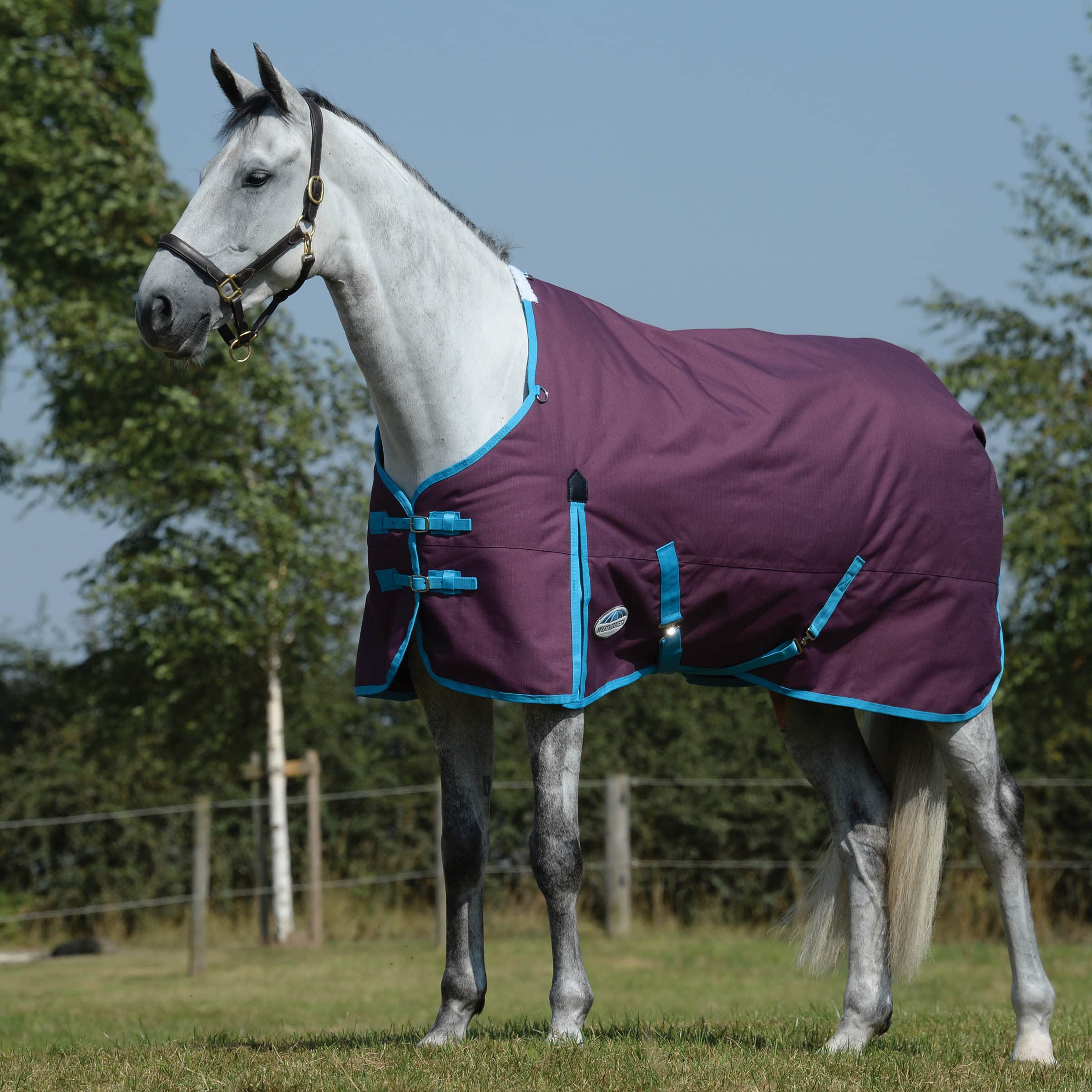 WeatherBeeta ComFiTec Essential Standard Neck Medium Horse Rug, Grape Purple/Blue, 6'9 — image 1