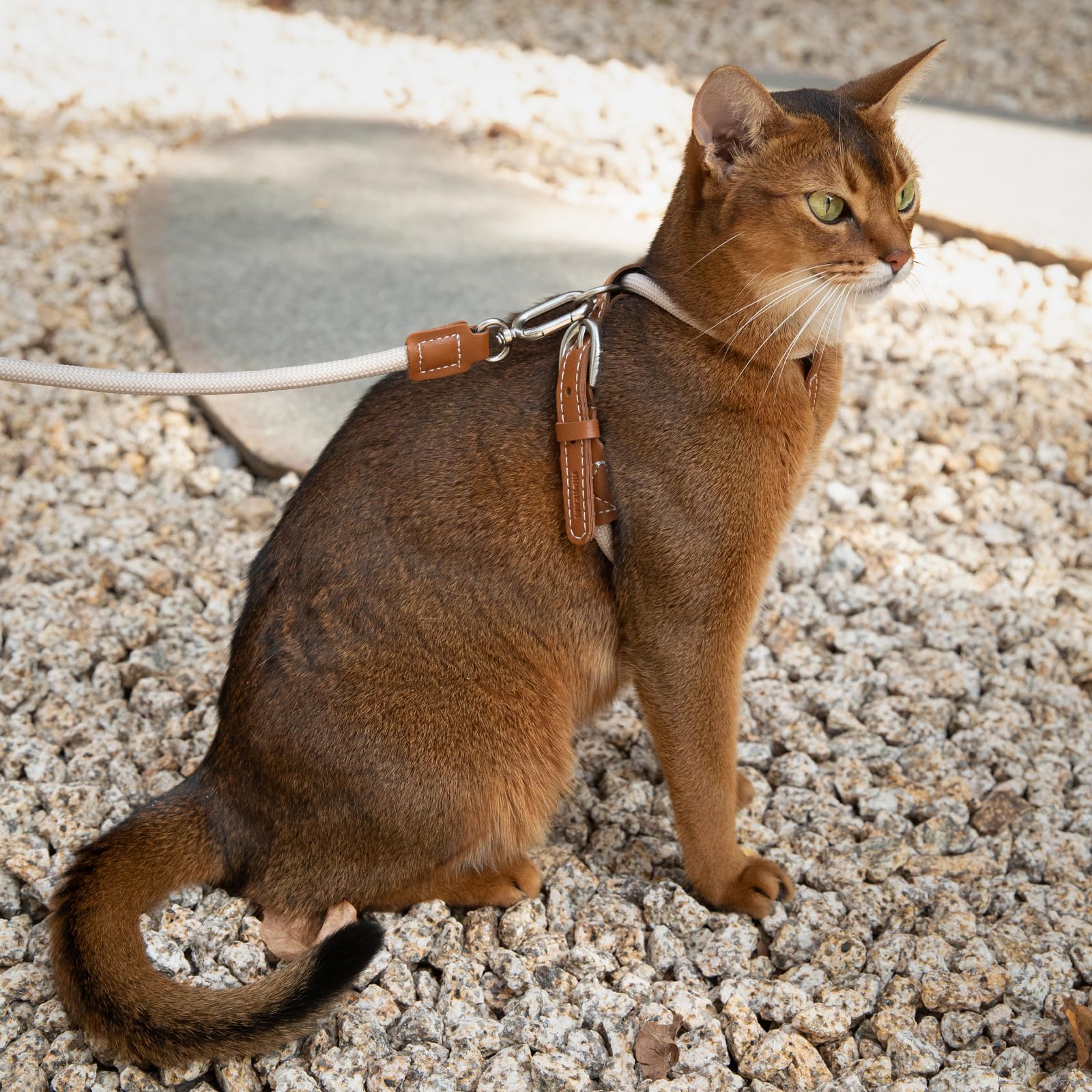Verstellbares X-förmiges ausbruchsicheres Katzengeschirr und Leine, Set zum Spazierengehen, robustes 1,3 m langes Nylonseil und robuste Schnalle, leicht, weich, Braun