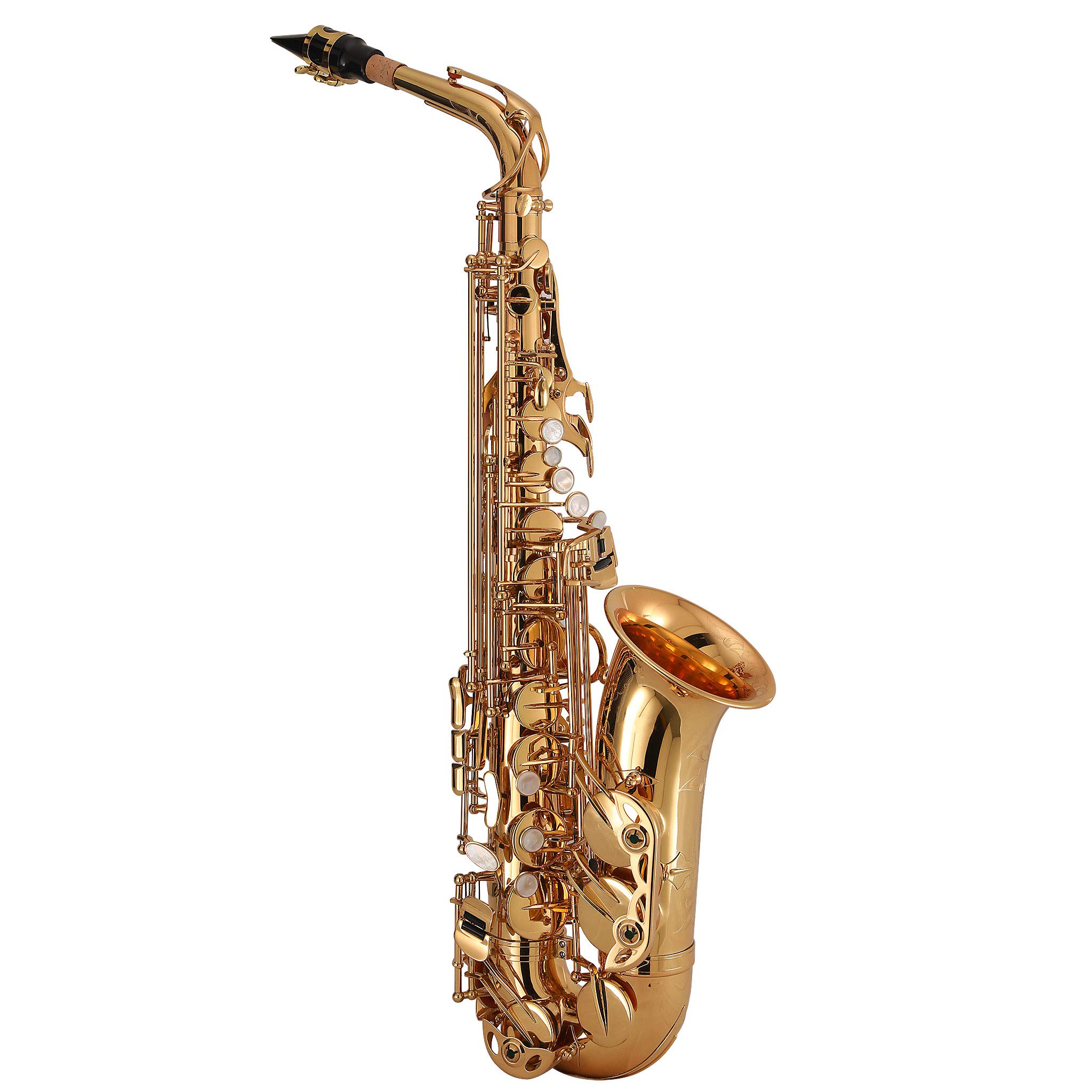 Amazon.com: Kaizer Alto Saxophone E Flat Eb Intermediate Gold