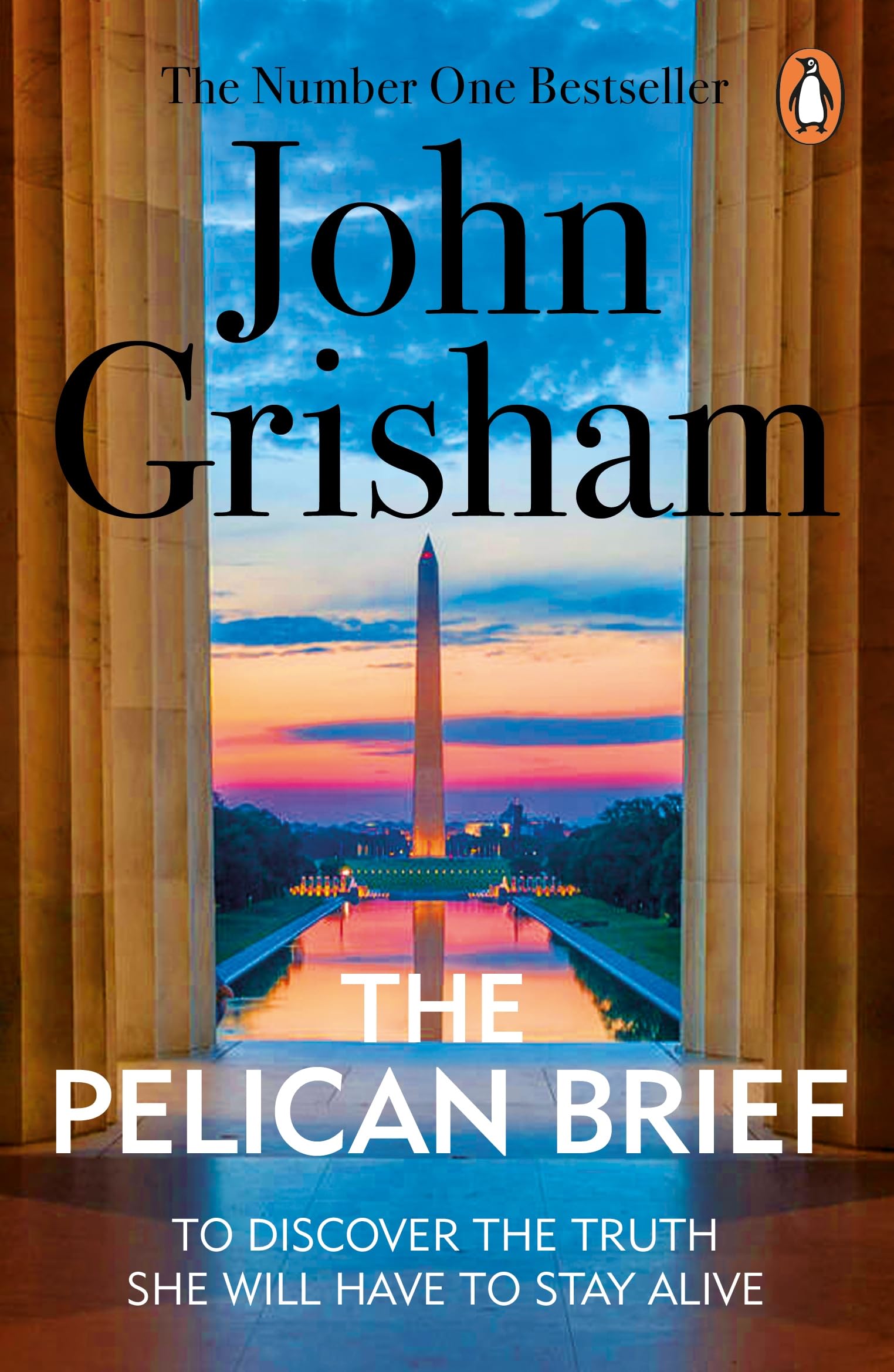 Pelican Brief, The Paperback – 28 October 2010