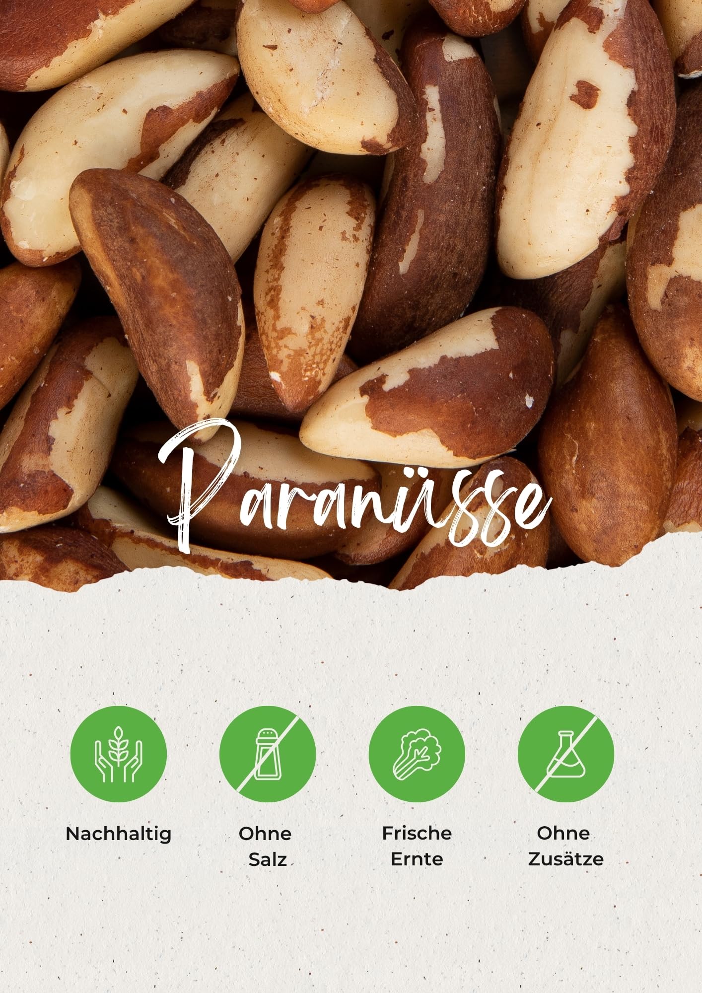 Vitalesia Paranüsse 1kg | naturbelassen 100 % | Paranuss aus Bolivien | ungeröstet, ungesalzen & ohne Zusätze | Premium Nüsse | vegan
