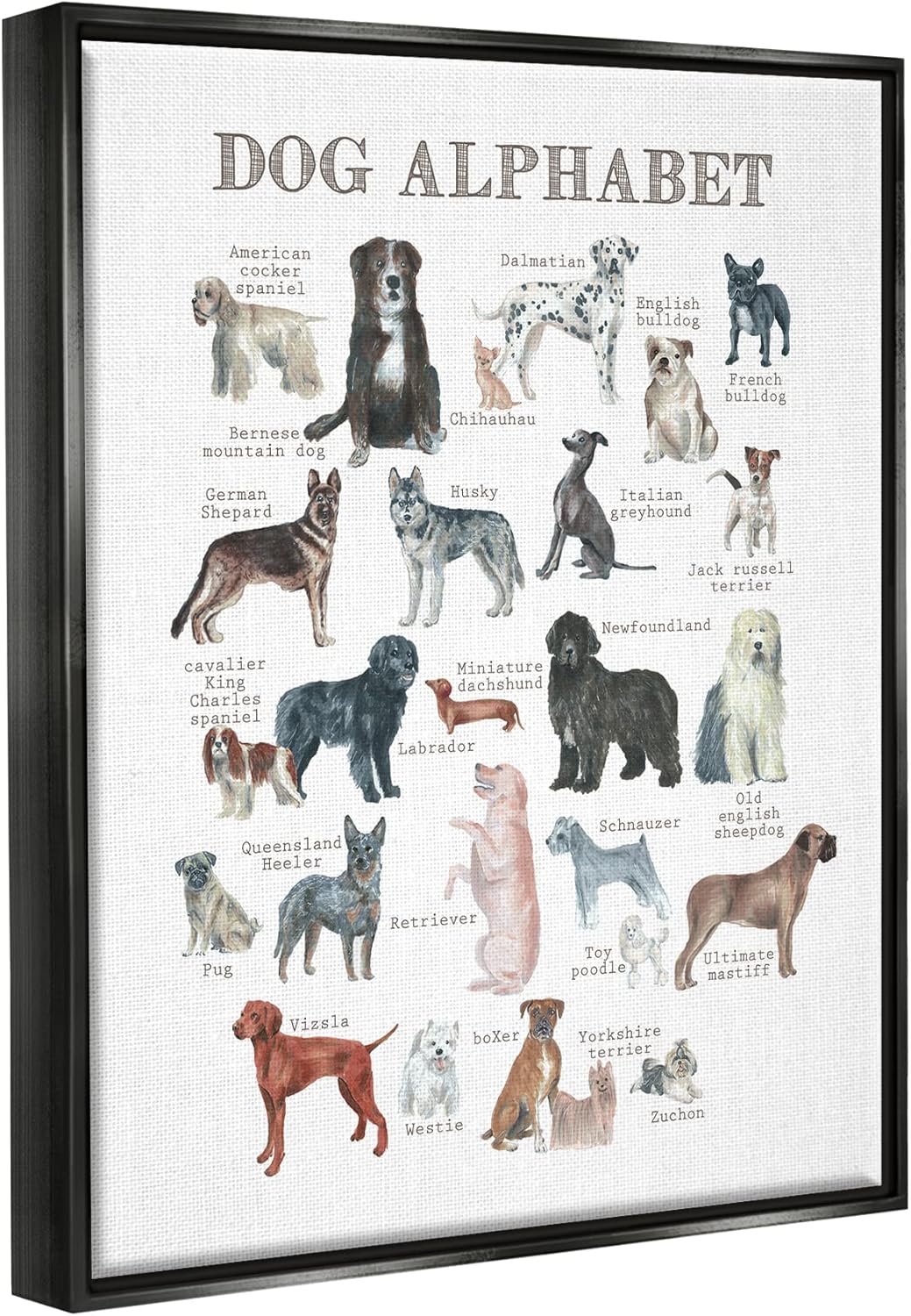 Stupell Industries Dog Alphabet Multiple Breeds Educational Animals Chart, Design by Dishique