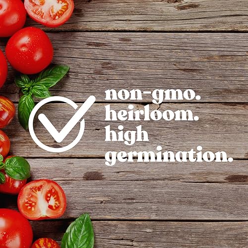 Miniatura 3 de Semillas de tomate Marglobe orgánicas  Paquete de 250 mg  80 semillas  Determinadas  reliquia, sin OMG  Jardinería vegetal