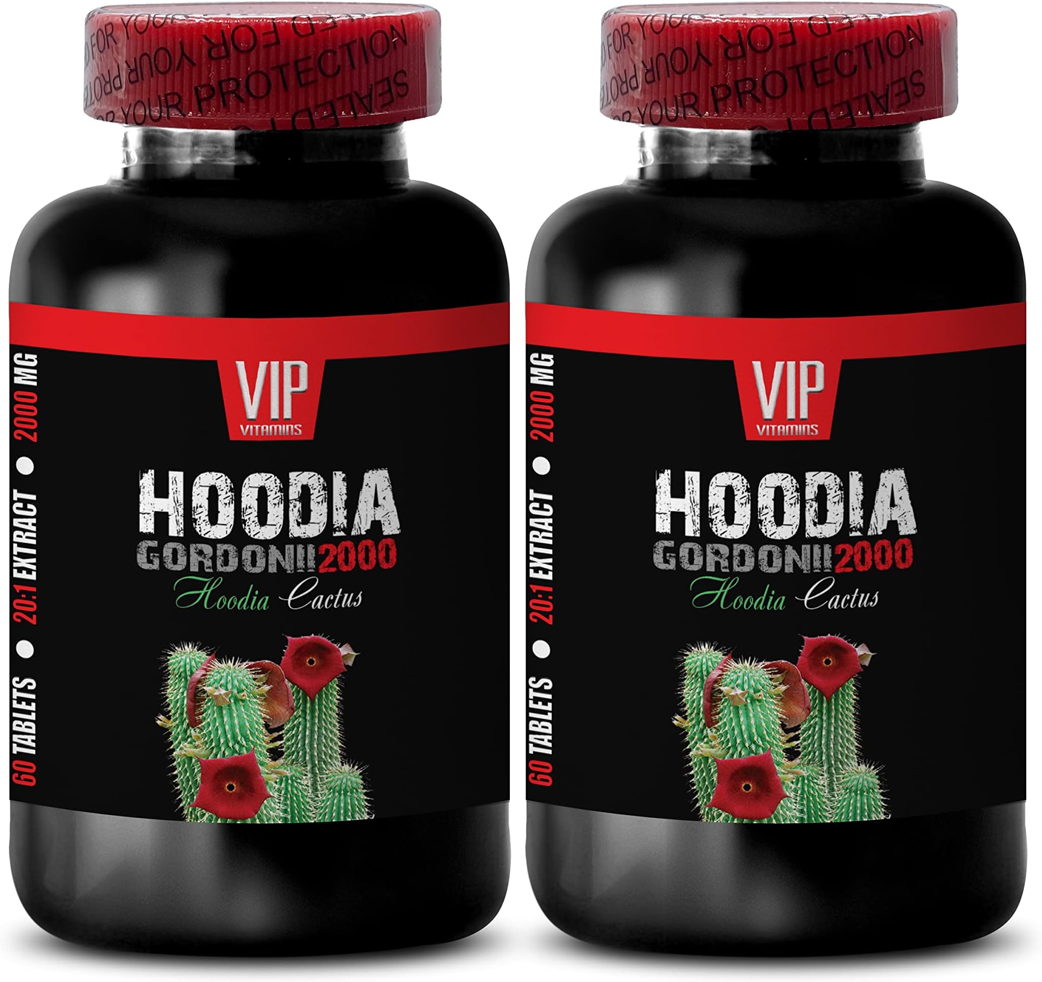 Fat Loss Energy Pills - HOODIA GORDONII Extract 2000 - Hoodia p57 Slimming - 2 Bottles 120 Tablets