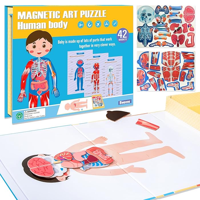 Buy Human Body Puzzle 42 Pieces Anatomy Puzzle for Kids