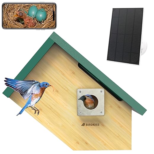 Smart Bird Houses for Outside Solar Powered, 1080P HD Live View Birdhouse with Camera, Perfect Viewing Bird Nesting and Hatching, Ideal Outdoors Bird House for Blue Bird and Cardinal (Green)