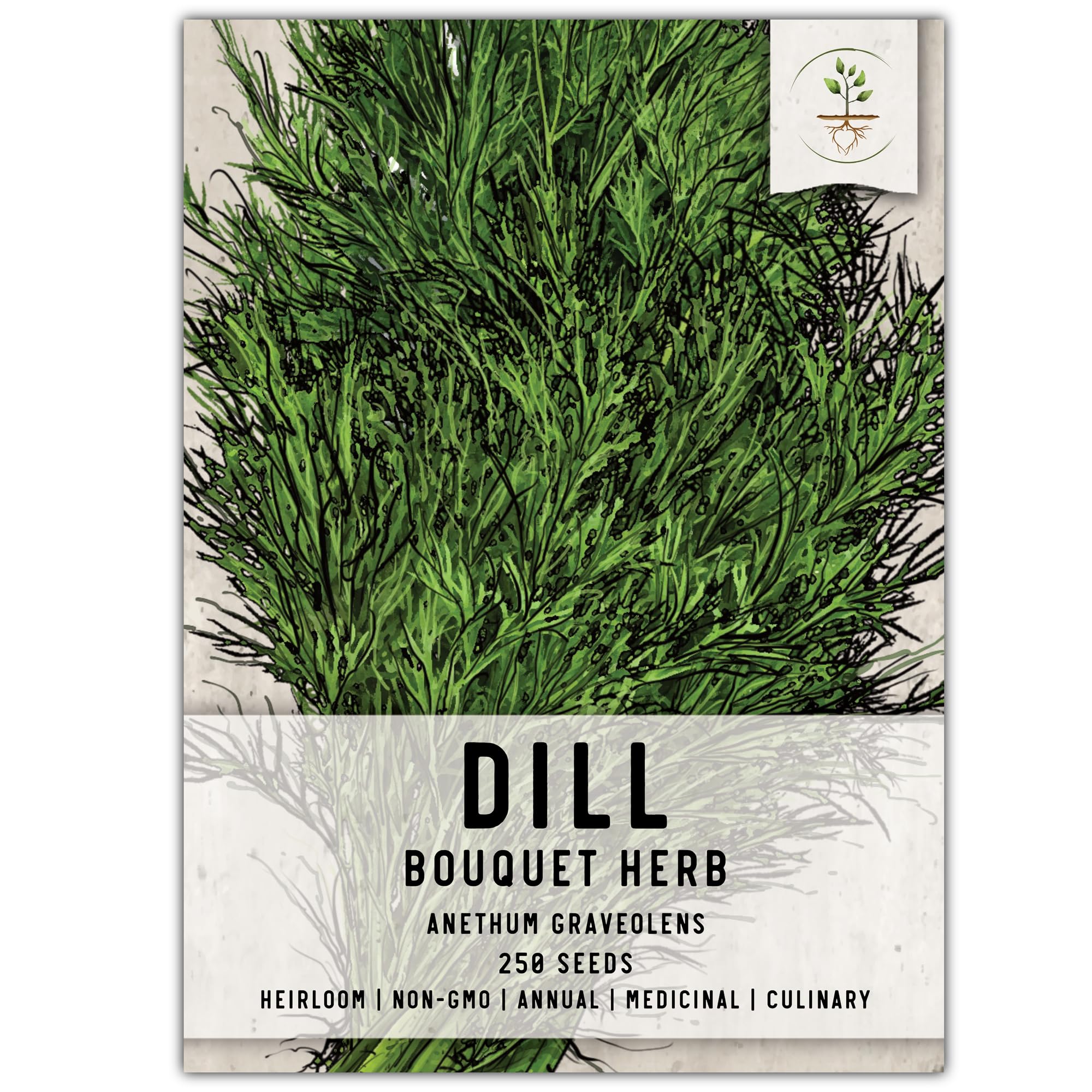 Seed Needs Dill Seeds for Planting Bouquet Herbs - Non-GMO Heirloom & Untreated Herb Seed to Plant a Home Grown Indoor / Outdoor Garden (1 Pack)