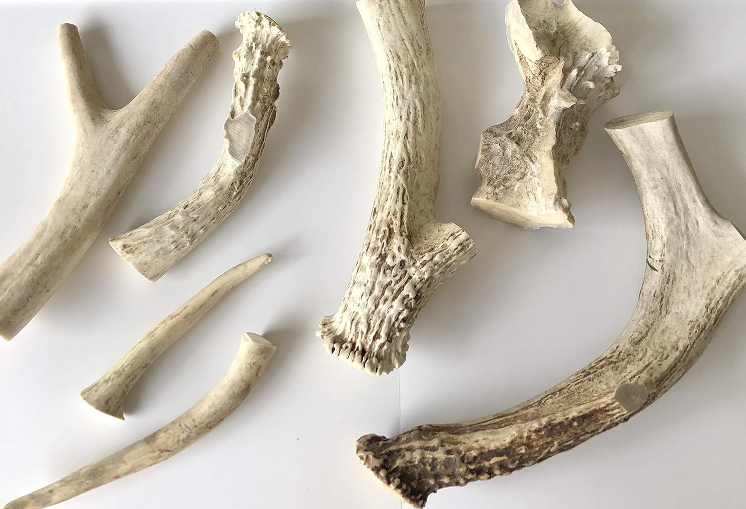 A1 Texas Bones Antler Dog Chews, All Natural Dog Bone