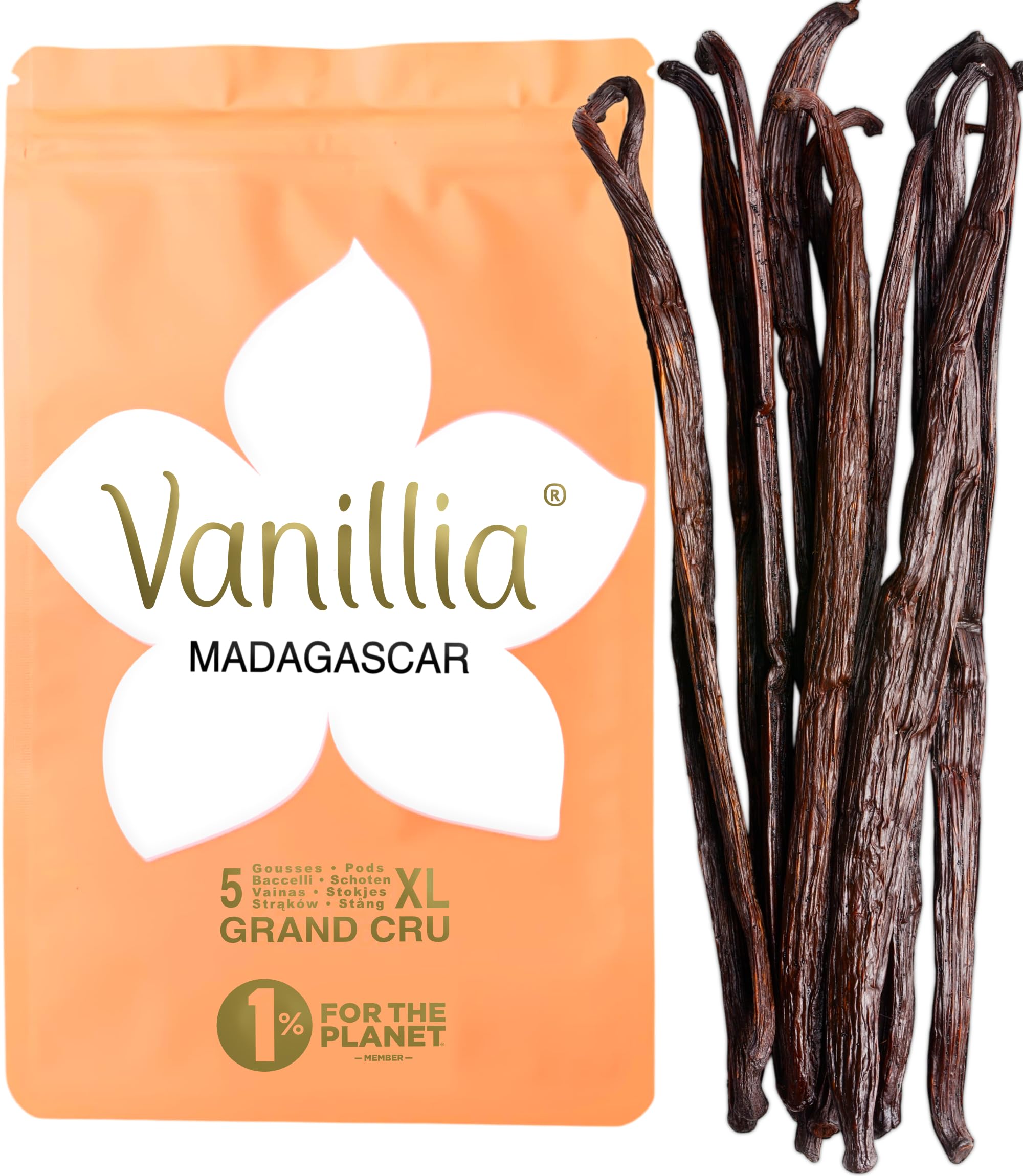 Vanillia • 5 baccelli xl di vaniglia bourbon del madagascar • grand cru 2025 • baccello xl 15/18cm • sacchetto freshzip 5 unità (confezione da 1)