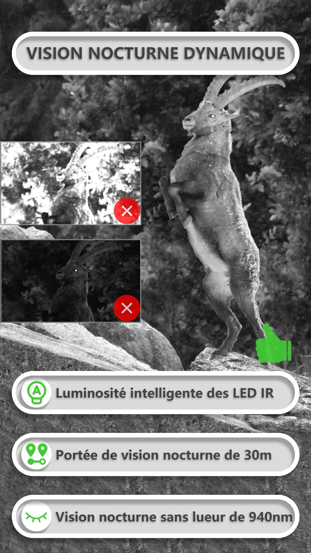 GardePro E8P Max Caméra de Chasse, WiFi, Batterie Rechargeable 8000 mAh, Carte SD Intégrée, 64MP 1296P, Caméra E8PMB No Glow Infrarouge Vision Nocturne