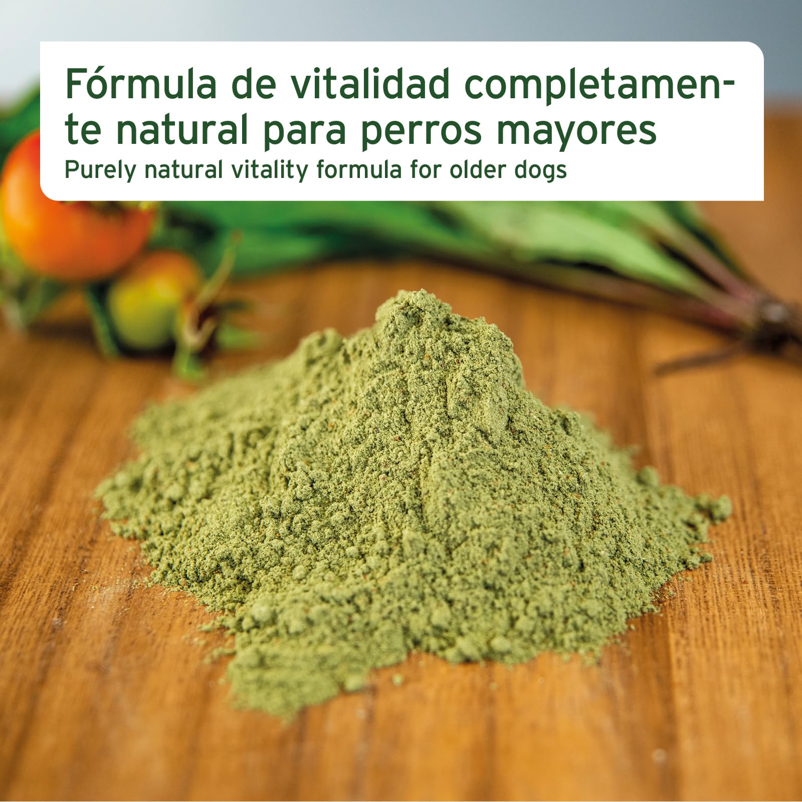 AniForte Senior Active en Polvo 250 g para Perros Mayores - minerales y vitaminas para Perros, Ayuda a la Memoria y a la función cardíaca, mejillón de Labios Verdes para la vitalidad y la Agilidad