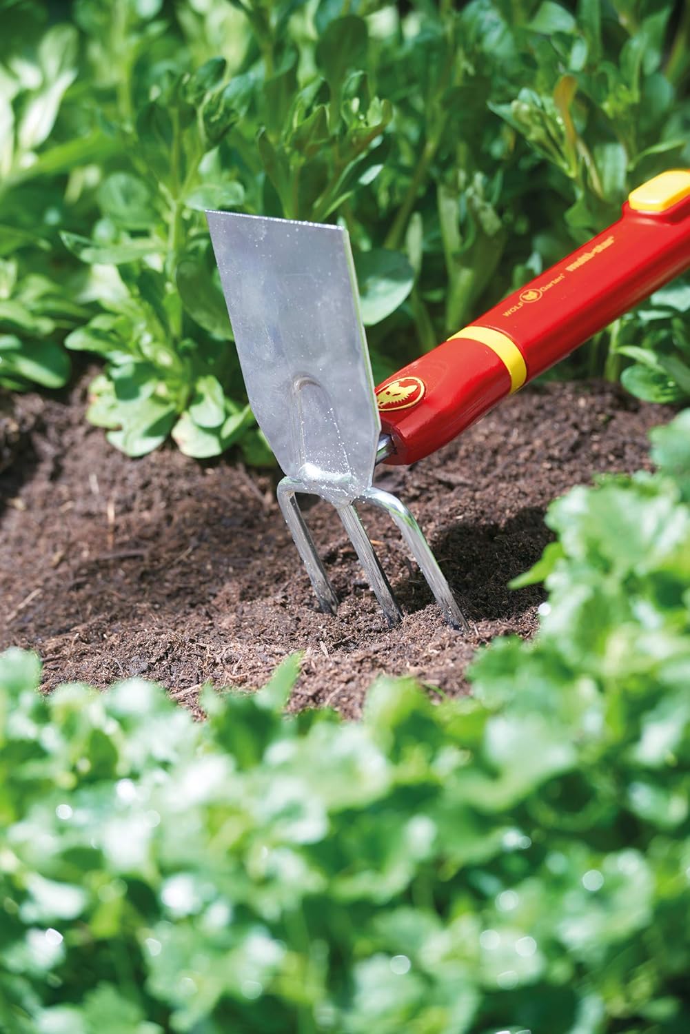 WOLF-Garten LNMZM30 Multi-Change Mini Hoe and Handle, Red, 30 cm