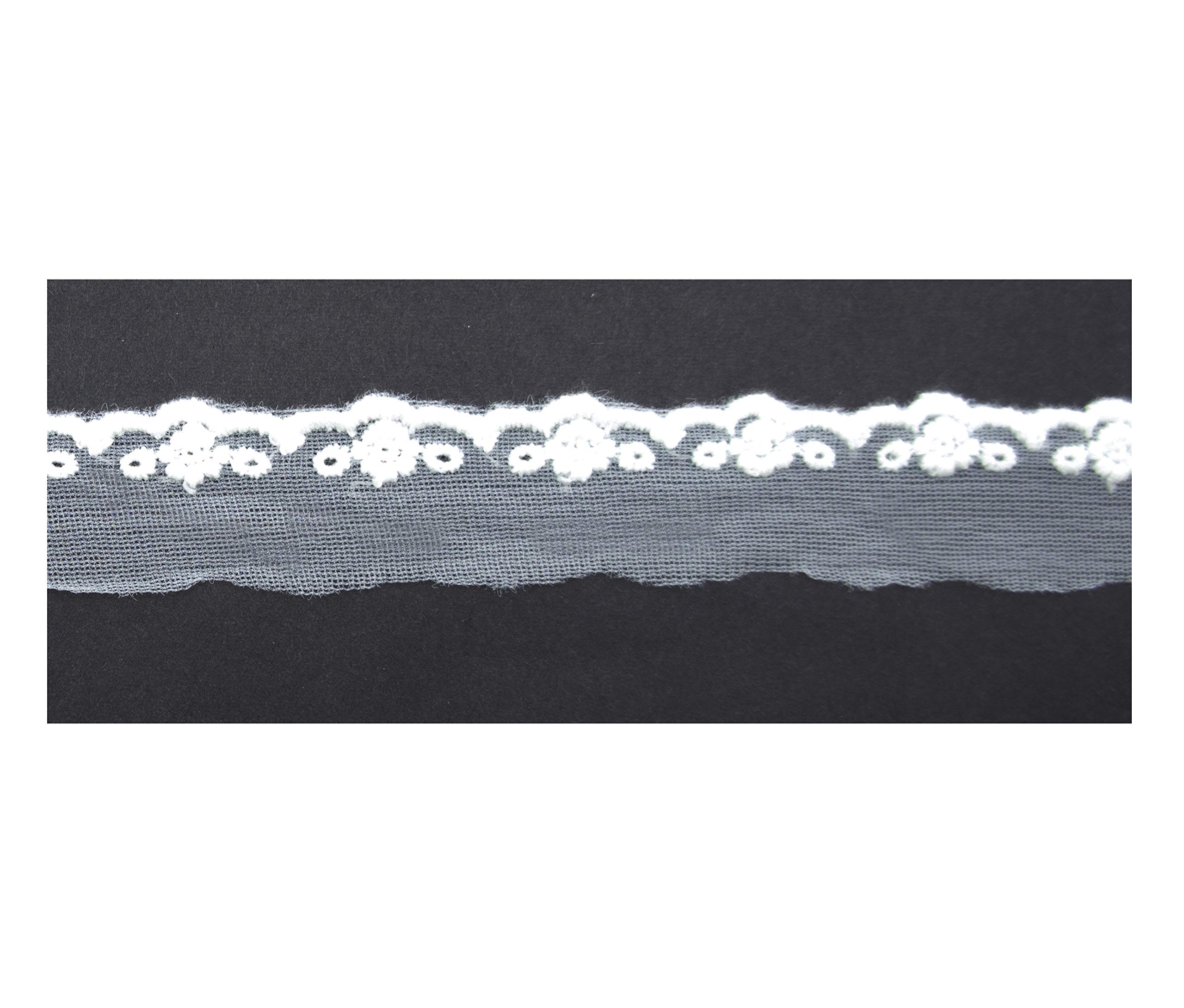 Dentelle bordures pendantes Main® 1209 ruban 10m idéal loisirs créatifs