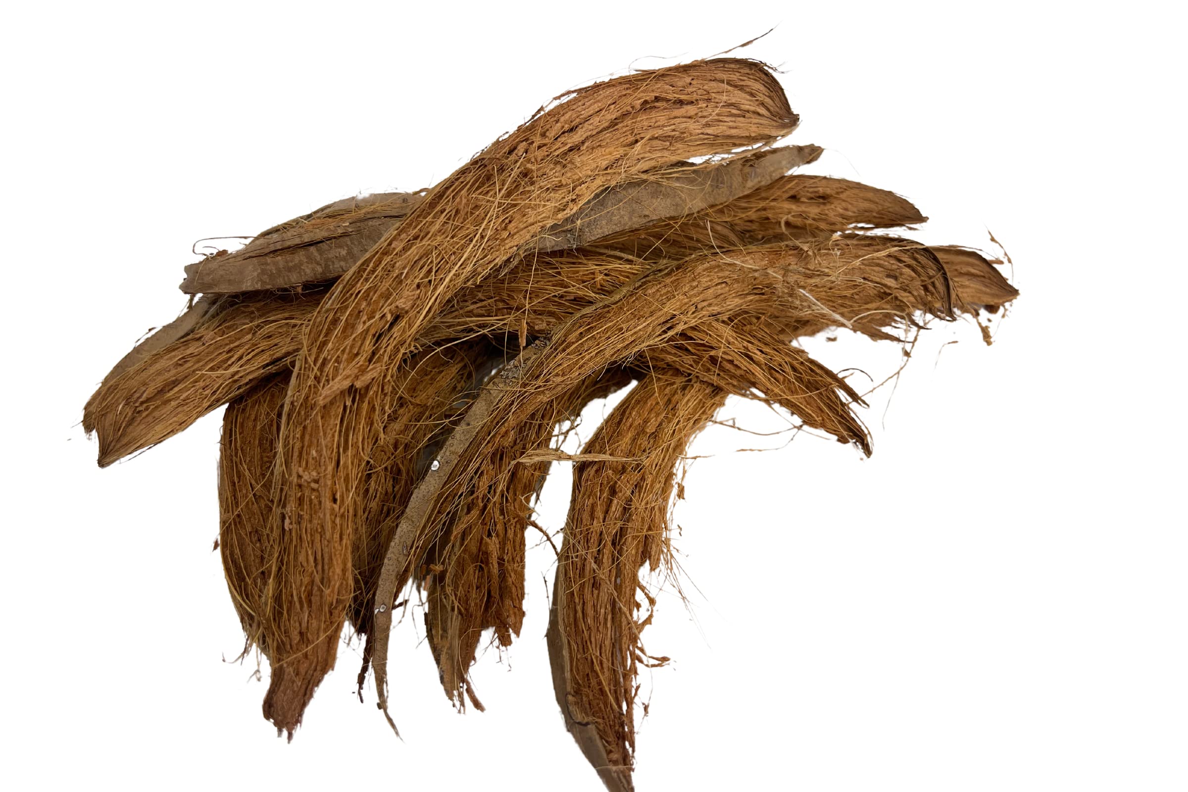 Snout and Shell Snout & Shell 10 Coco Curls Botanical Curly