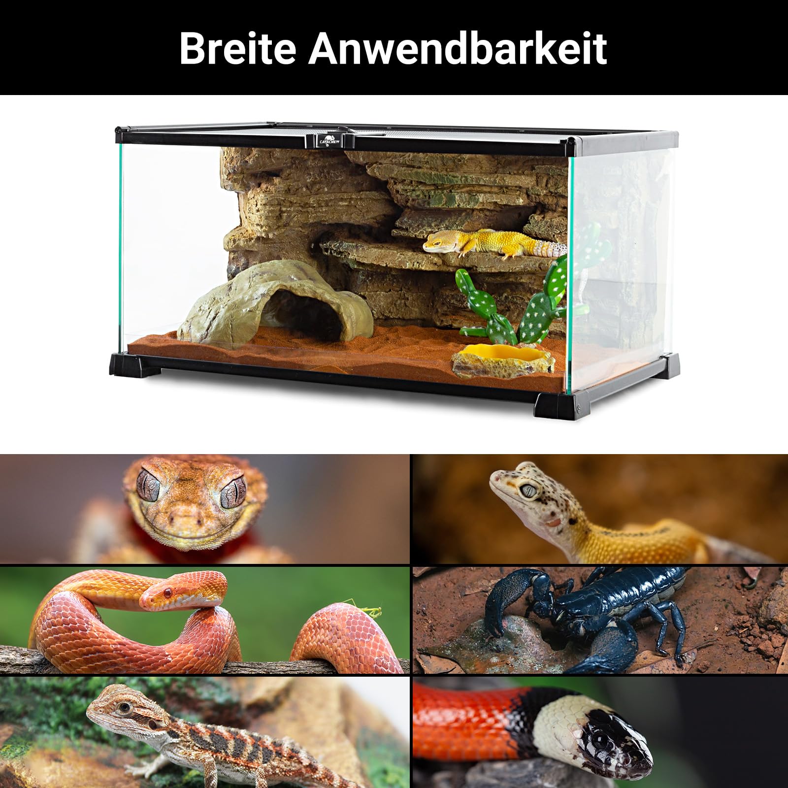 Terrarien für Reptilien & Amphibien, Terrarium 50 x 30 x 20 cm, Terrarium Glas für Schildkröten, Bartagame, Schlange, Gecko, Obere Masche Belüftung, 360°Betrachtung