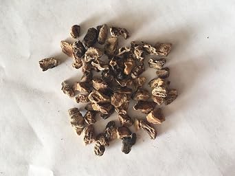 Devils Claw Dried Cut herb Root 50g The Spiceworks-Hereford Herbs & Spices