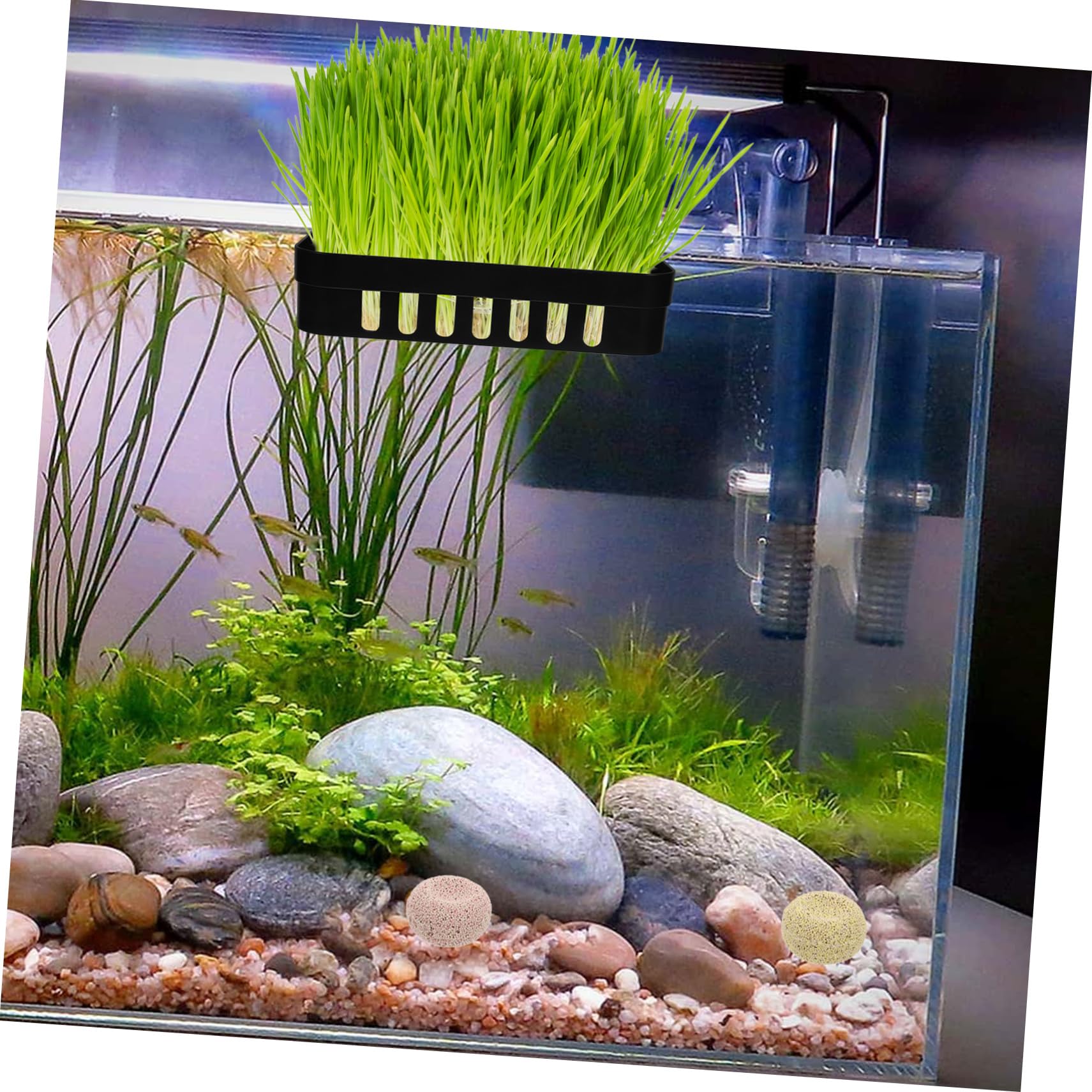 Toddmomy 5 Zestawów Roślina Wodna Doniczka Akcesoria Do Akwarium Fish Tank Plant Pot Wodne Sadzenia Garnek Akwarium Wiszące Sadzarka Akwarium Sadzenia Kosze Fish Tank Uchwyt Na 2 szt*5