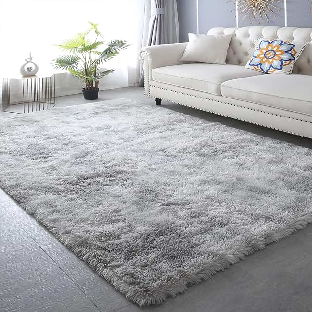 CAIYUECS Shag Area Rug,Indoor Ultra Soft Fluffy Plush Rugs for Bedroom L...