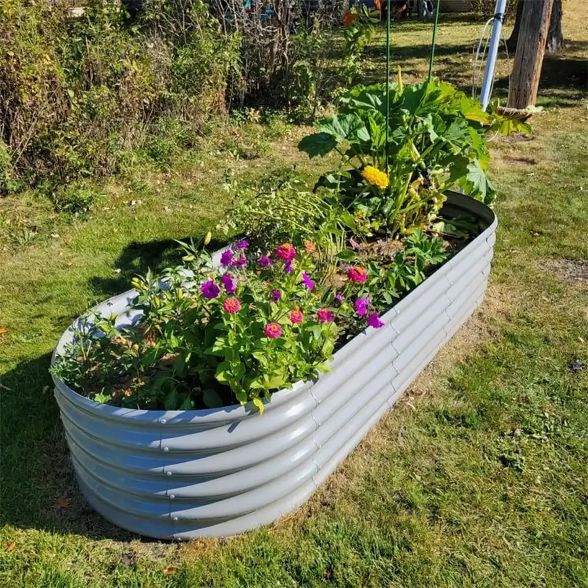 8 Pack 8x3x1.5FT Galvanized Raised Garden Bed Kit Oval Metal Ground Planter Box Outdoor Bottomless Planter Raised Beds for Vegetables Flowers Herbs Fruits, Gray