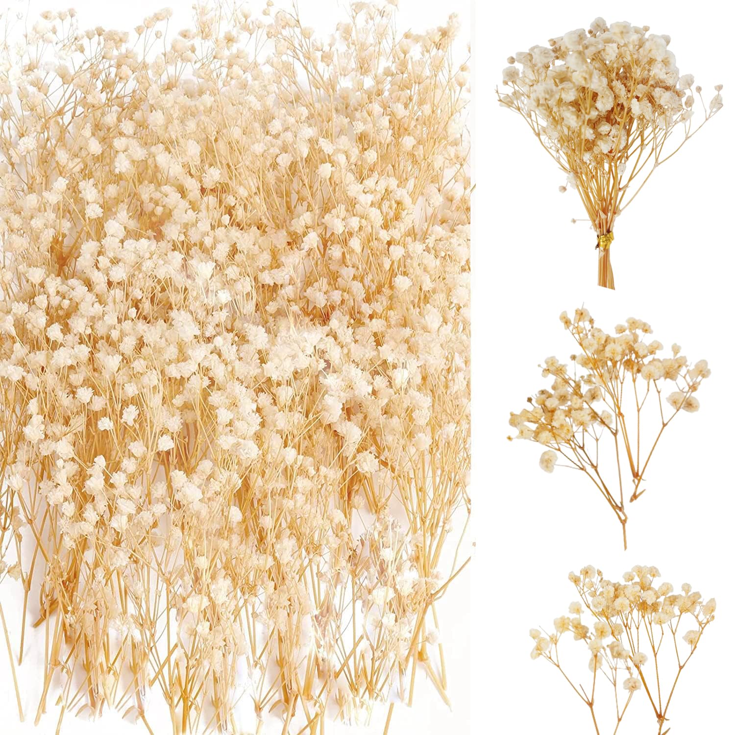 65 sztuk gipsówki suszonej w kolorze białym, sztuczne gipsówki, gipsówka naturalna, suszone kwiaty Gypsophila, suszone kwiaty do mini dekoracji ślubnej, dekoracja domu, DIY