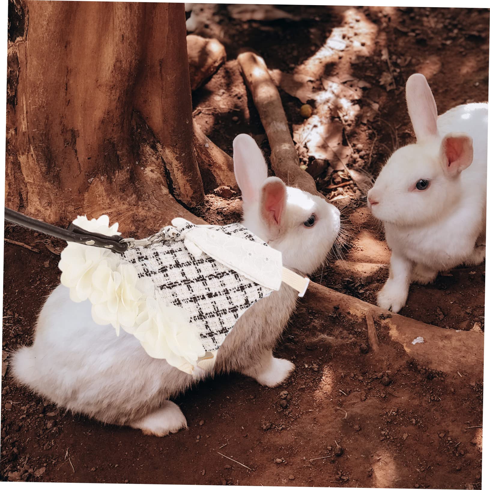 BESPORTBLE 3sätze Kaninchen Geschirr Mit Leine Niedliches Bunny Outfit Für Haustiere Atmungsaktives Design Für Besondere Anlässe Und Fotos Bequem Und Stilvoll