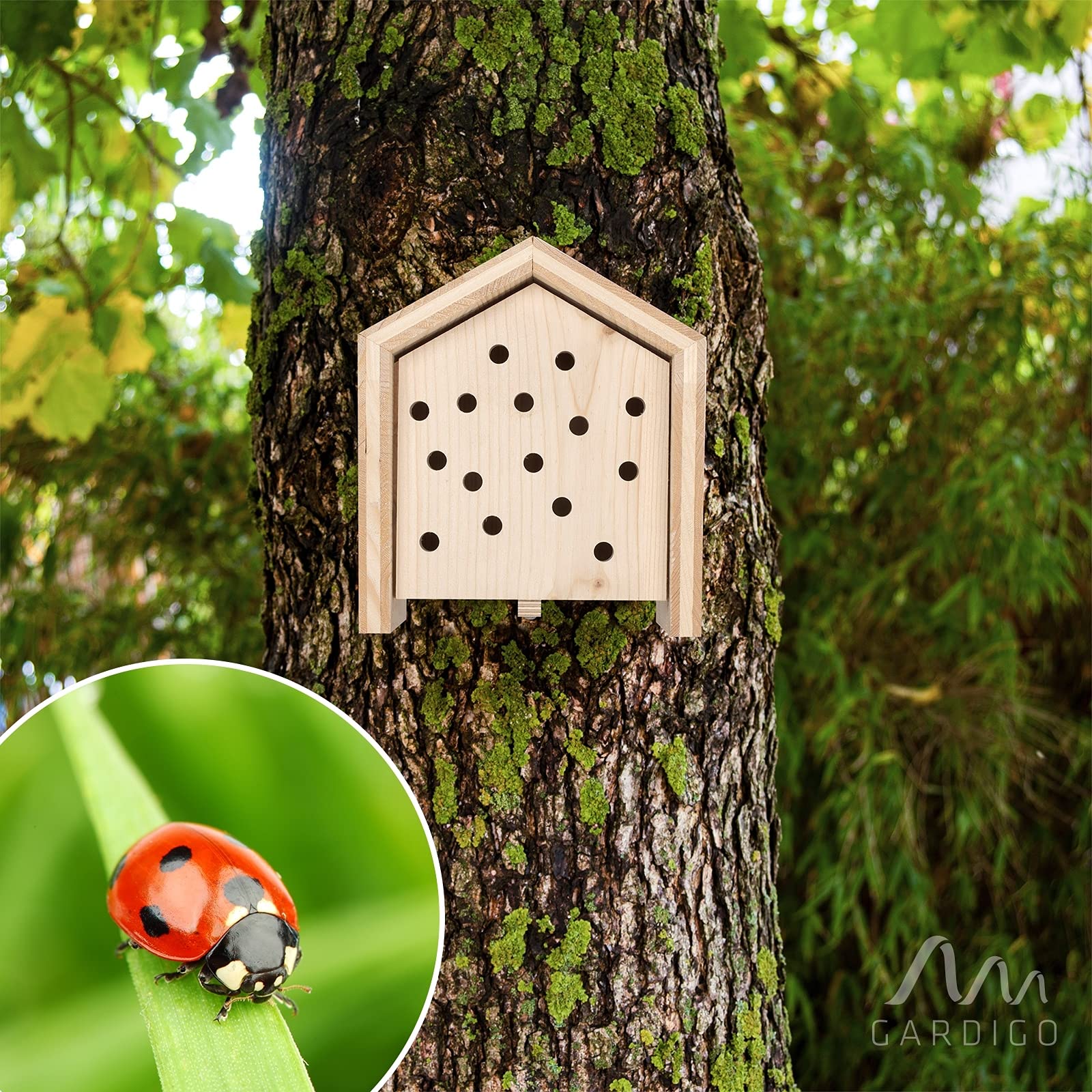 Gardigo Marienkäferhaus mit Wechselblenden - Insektenhotel Made in Germany | Insektenhotel für Marienkäfer, Nistkasten für Sperlinge, Vogelfutterhaus, 2 zusätzliche Wechselblenden