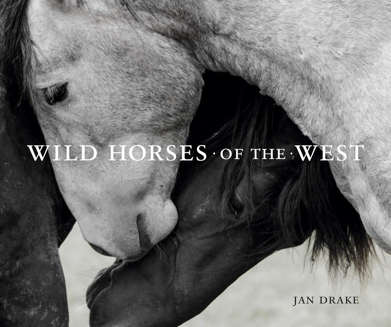 Wild Horses of the West (Wild in the West)