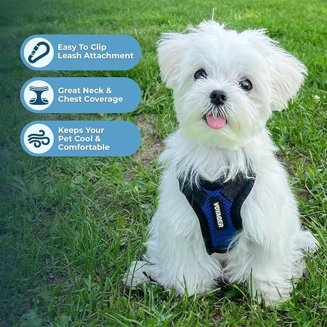 Foto 5 de 8 de Voyager Step-in Lock - Juego de arnés para Perro con Correa Reflectante para Perro, con Mango de Neopreno…