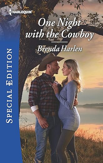 One Night with the Cowboy (Match Made in Haven, 6)