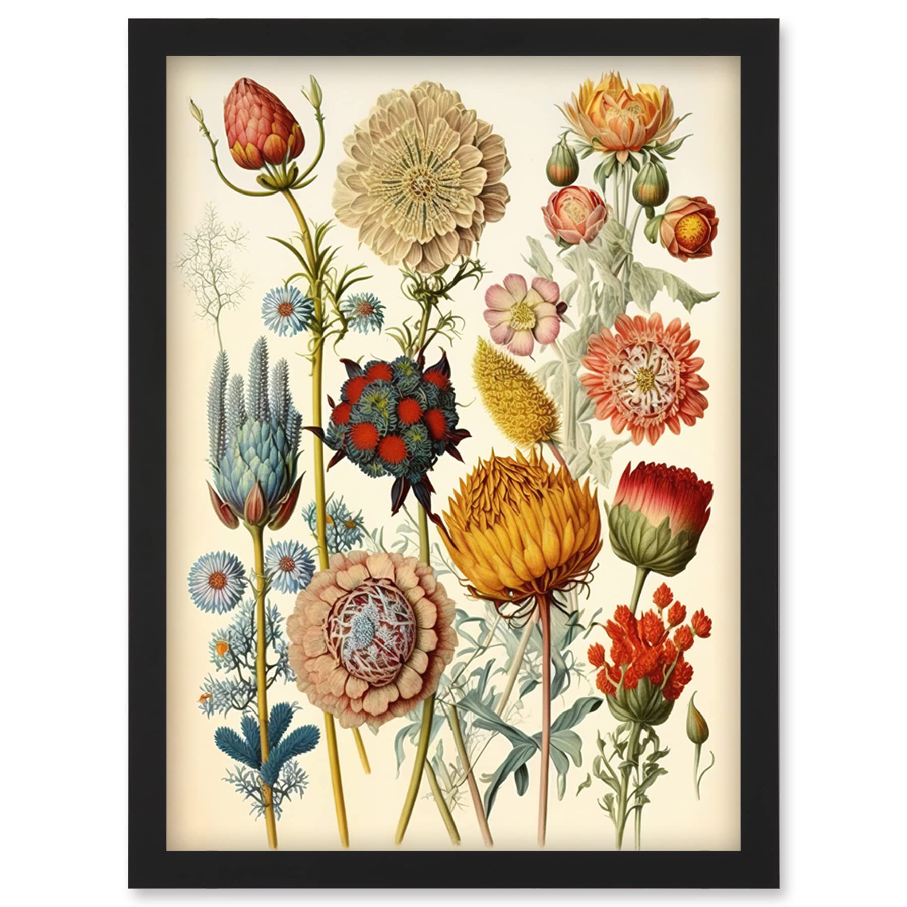 Artery8 Vintage Botanical Ernst Haeckel Inspired Plant Study Modern Watercolour Painting Illustration Artwork Framed Wall Art Print A4