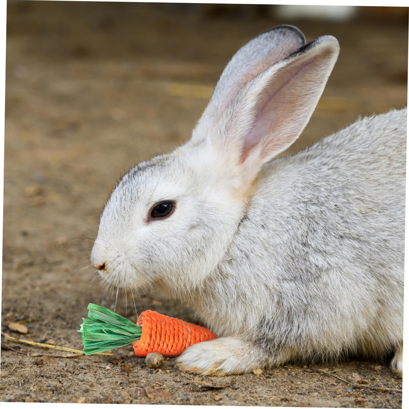 SUPVOX 30pezzi Giocattoli Per Conigli Naturale Giocattoli Da Masticare e Confortanti Per Piccoli Animali Per Roditori Come Conigli Porcellini e Scoiattoli
