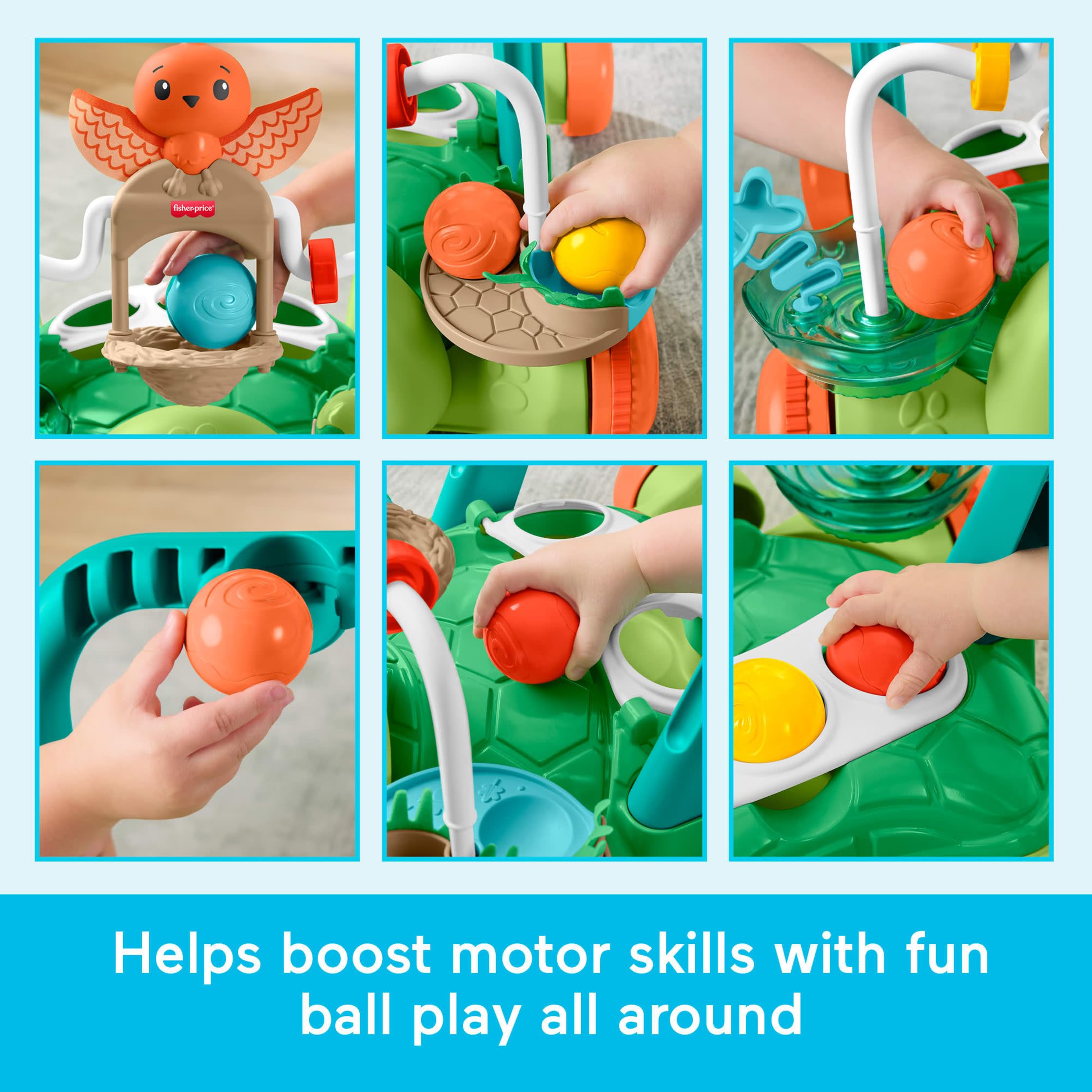 Fisher-Price Baby-Ringe, Schildkröte, erste Schritte, 6 m