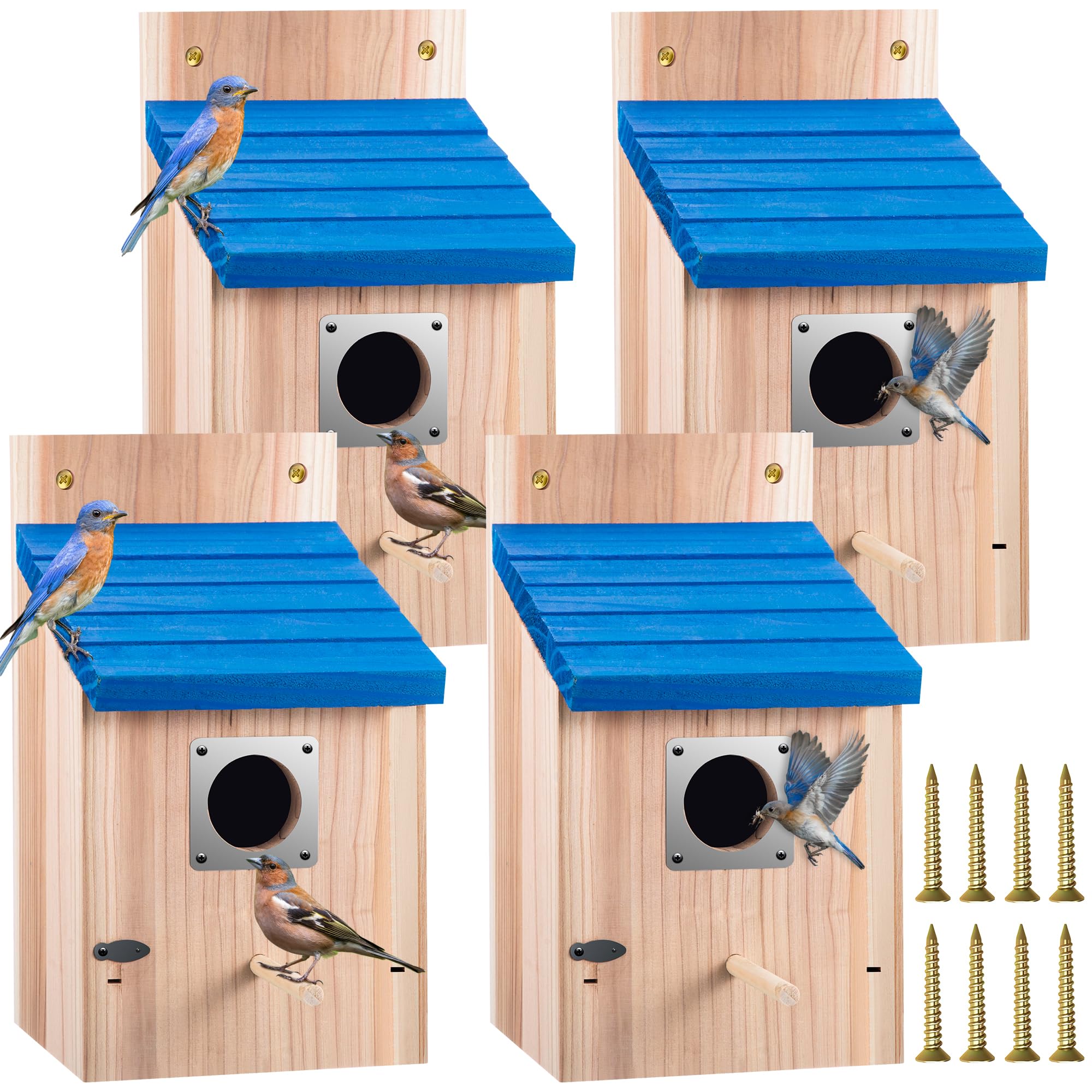 Amazon.com : Dreyoo 4 Pack Cedar Bluebird Box Houses for Outside