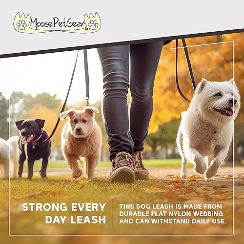 Miniatura 8 de Collar ajustable para perro de la Universidad de Iowa, ropa para mascotas, fabricado en los Estados Unidos, 34 pulgadas de ancho, pequeño, estampado