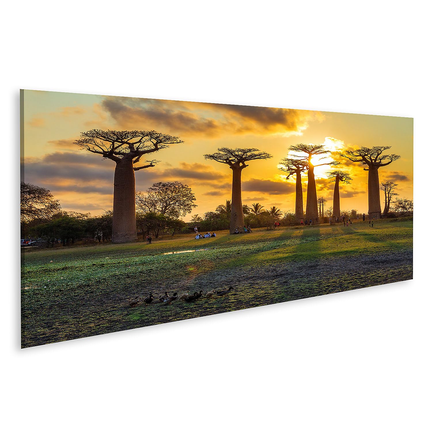 islandburner Impression sur toile Baobab - Coucher de soleil - Paysage - Moments de calme dans la nature