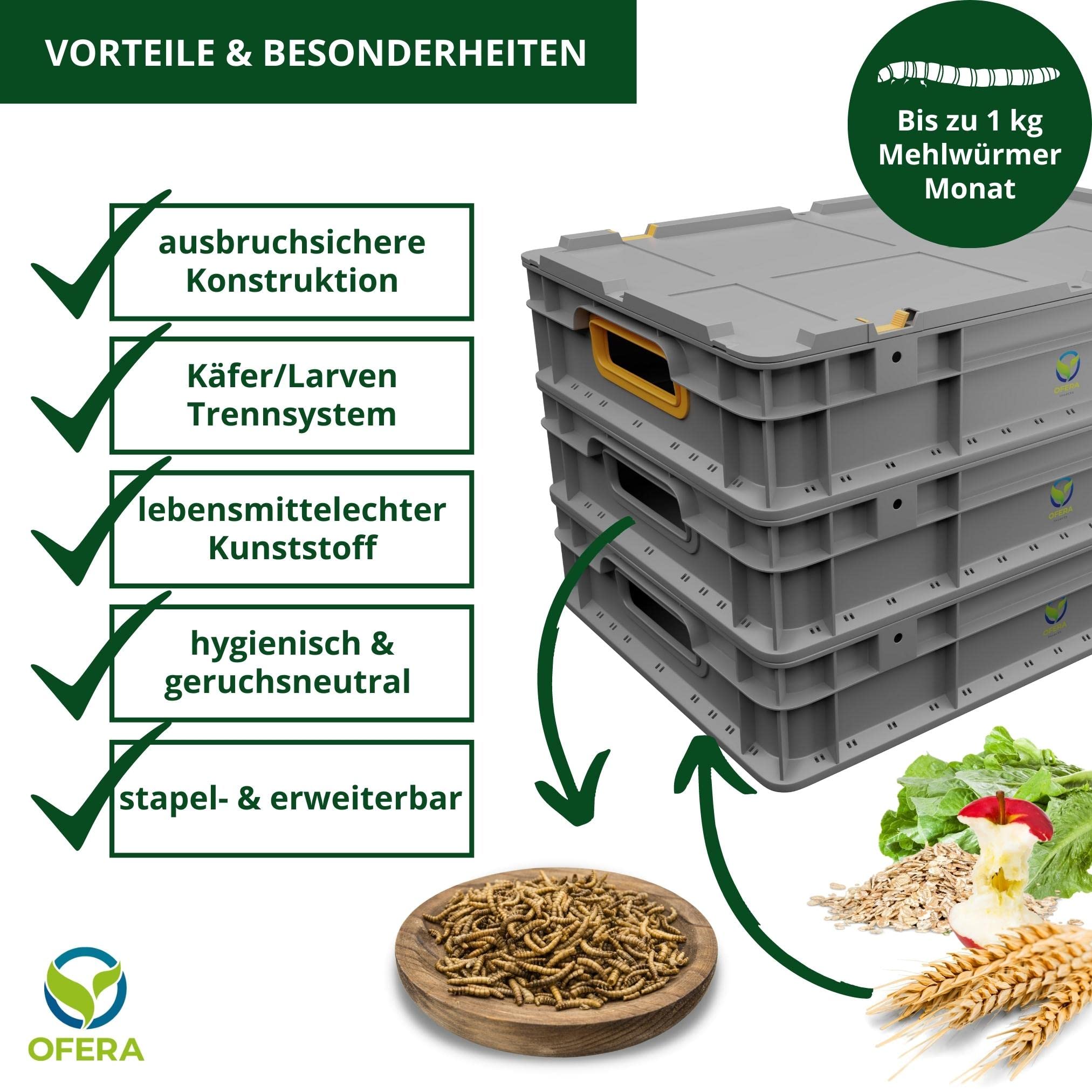 OFERA Mehlwurm Farm Zucht für Mehlwürmer Insekten Hühnerfutter Vogelfutter Wildvögel ganzjährig Fischfutter Aquarium Wurmkiste Komposter Mehlwürmer lebend Futter Hühner Zubehör Kompost Dünger Bio