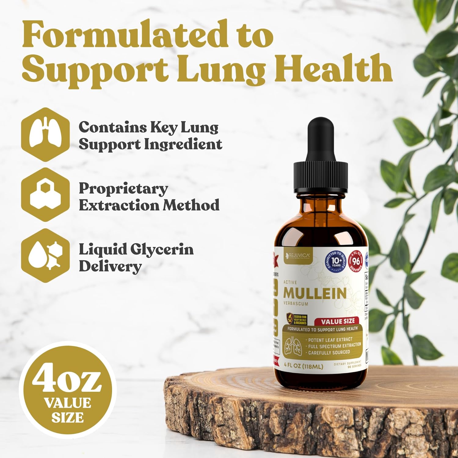 Rejuvica Health Active Mullein 4oz XL Super Size - Advanced Mullein Liquid Extract - Lung Support Drops - Vegan Sugar Free Non GMO Tincture 3 Pack