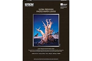 Epson Photo Paper: The Ultimate Solution for High-Quality Photo Printing