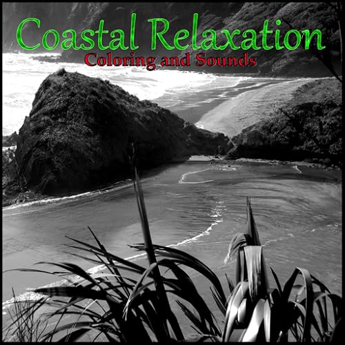 Coastal Relaxation and Introspection - Airbrush Coloring and Ocean Sounds