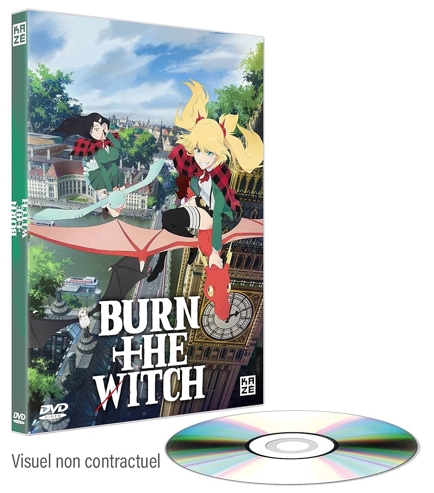その他 Years of the Witch [DVD] レンタル落ち】 THE WITCH 魔女－増殖－ DVD 日本語吹替あり