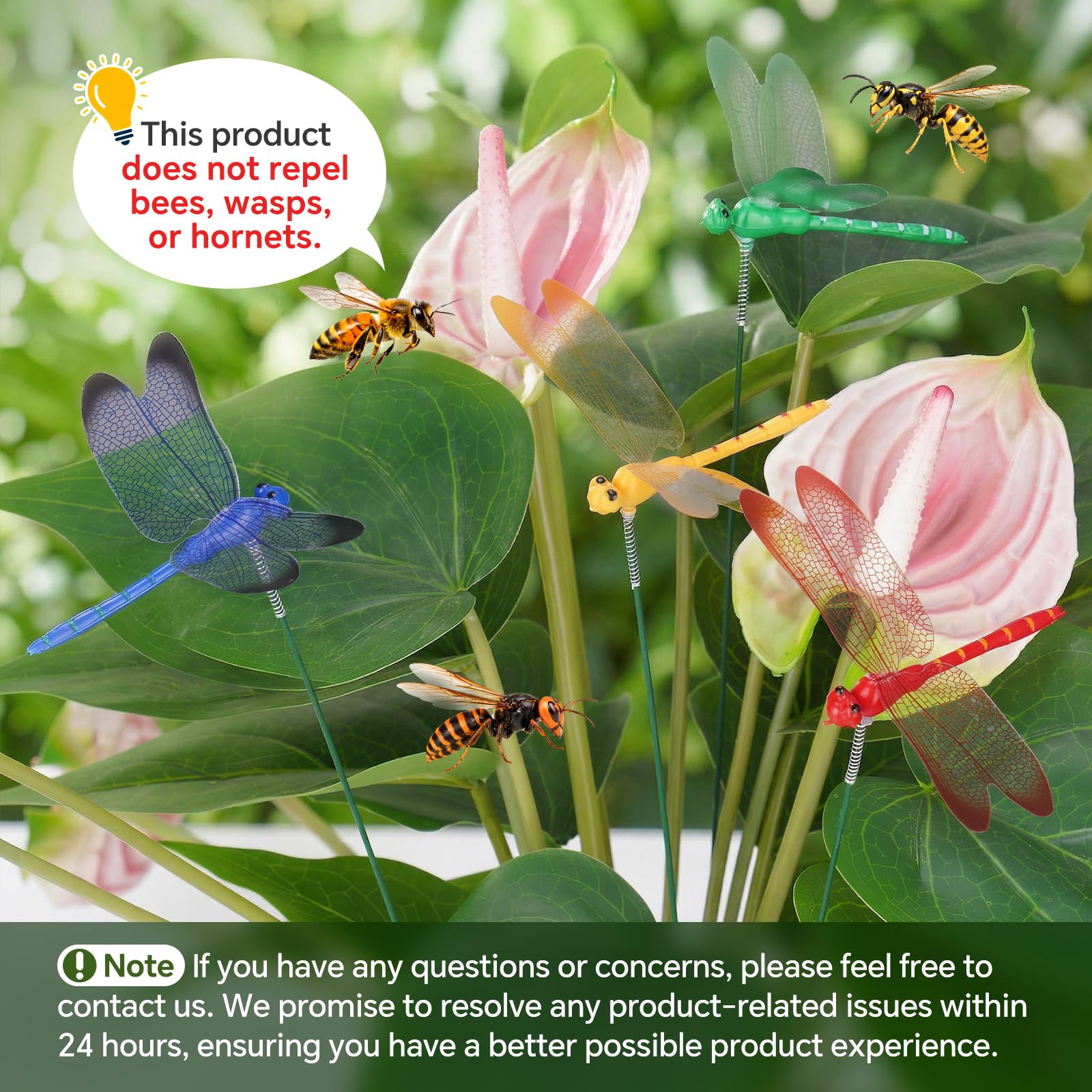 HC-3 Heartfelt Decorative Dragonfly セット Amazon.com: NiHome 12-Pack Large Dragonfly Clip Decoration Set for