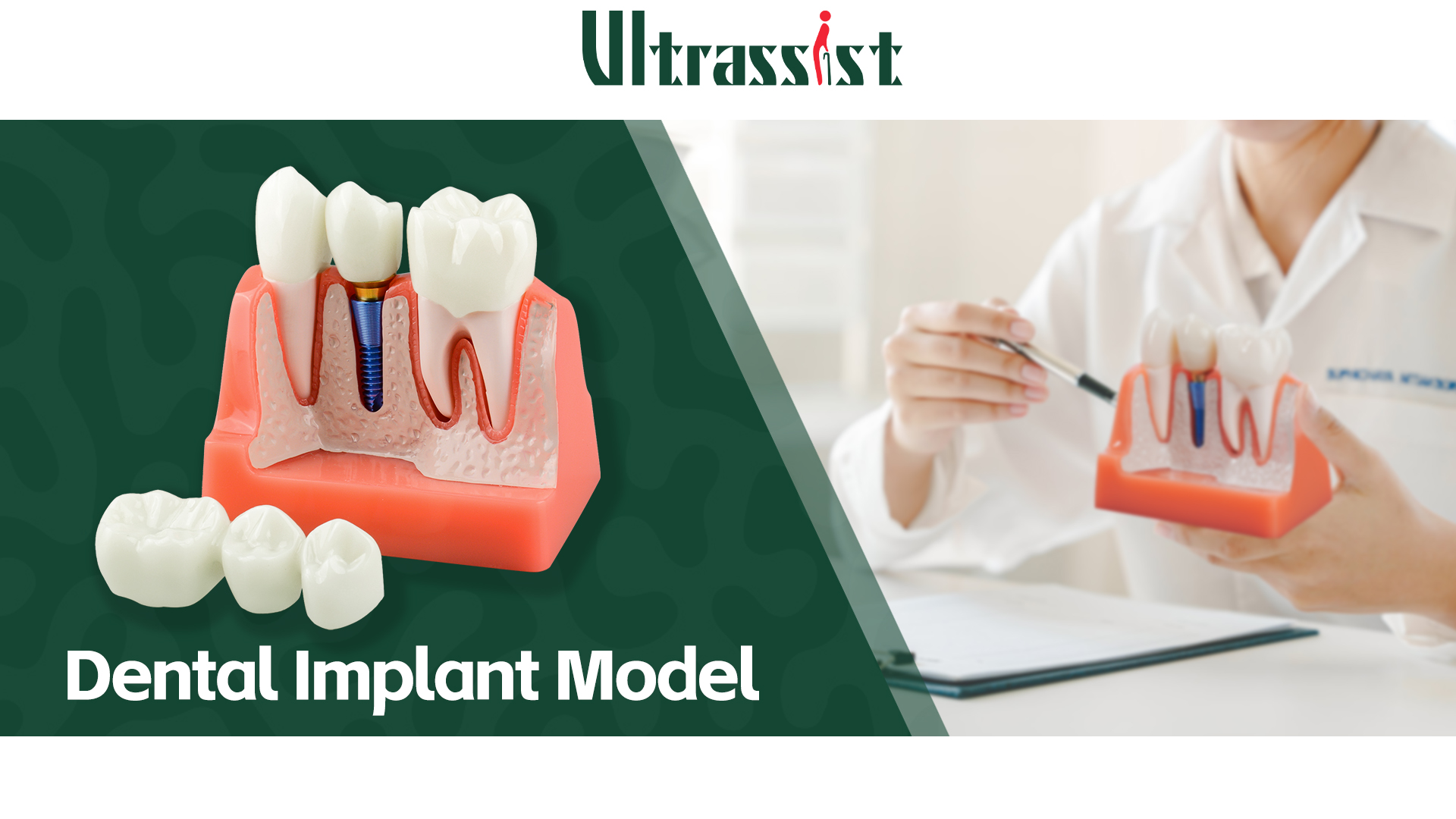 Dental Implantology 雑誌 セット 2024 1号～6号 Dental Implantology 雑誌 セット 2024 1号～6号 Dental