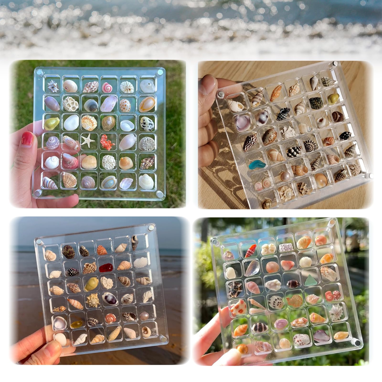 Siluyado Acrylic Magnetic Seashell Display Box, Mini Seashell Display Case, Containers to Display Seashells, Crystal Seashell Display Organizer Box Holder for Gemstone Diamond-(36 Round Grid)