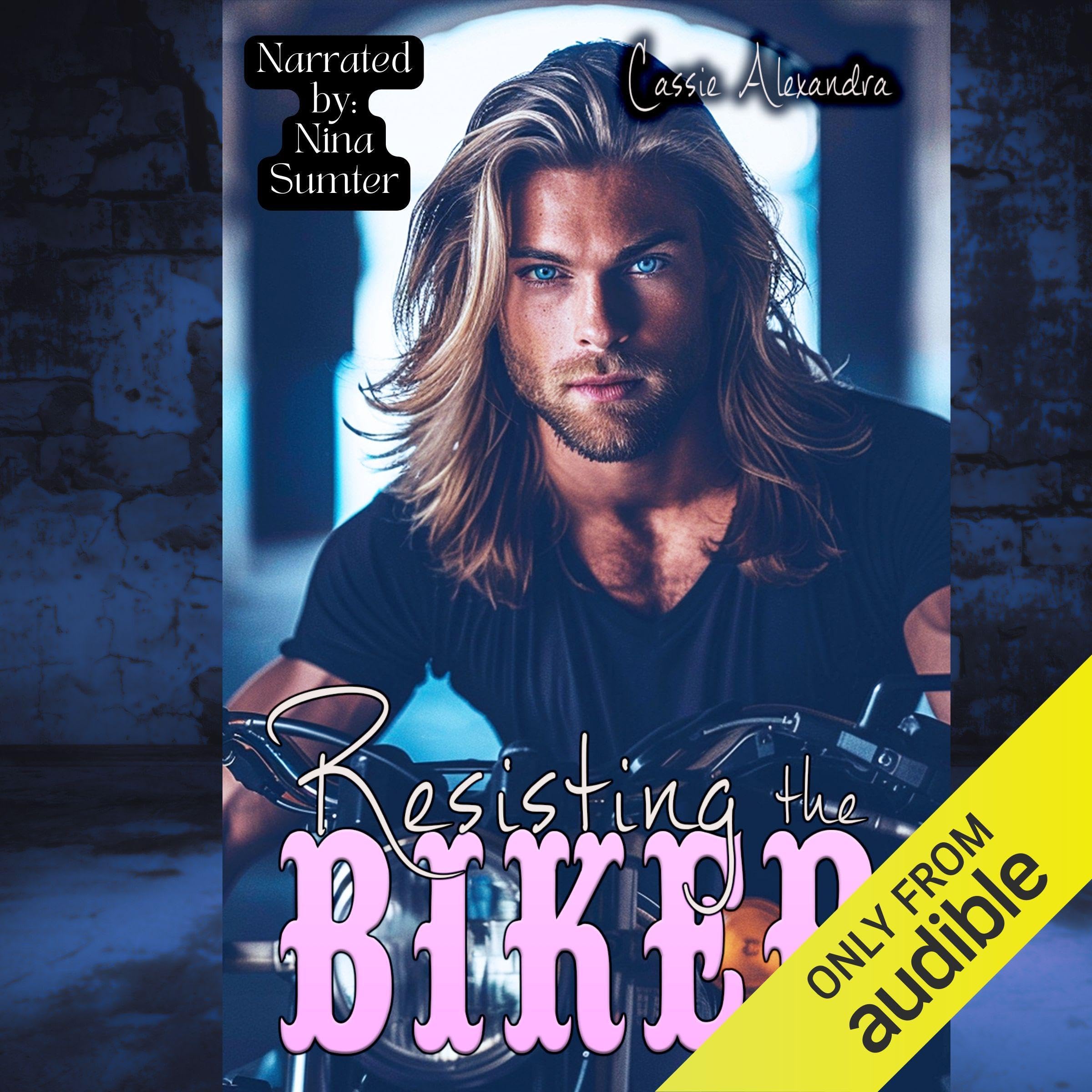 Cover art for Resisting the Biker